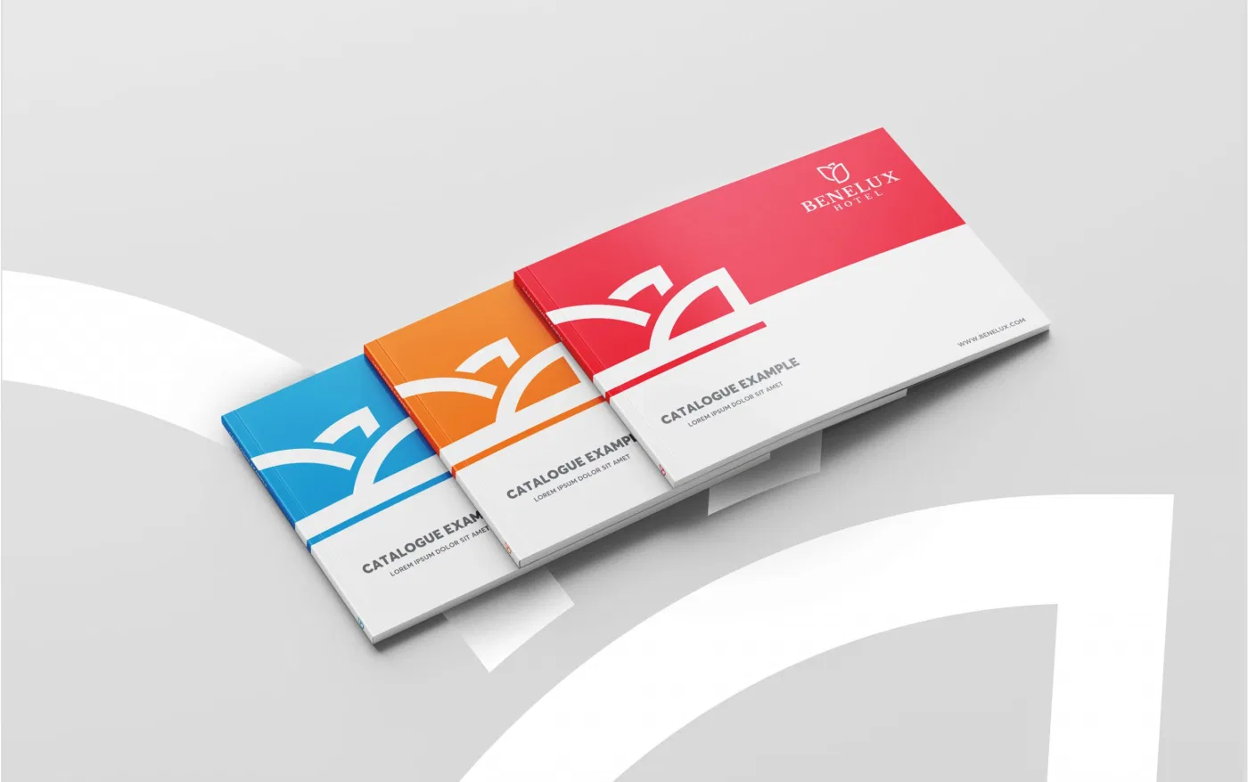 Benelux project presentation