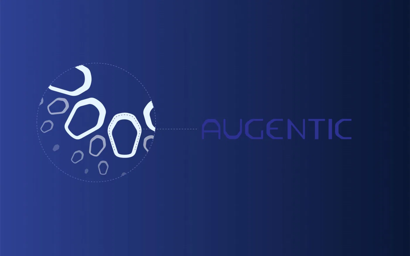 Augentic project presentation