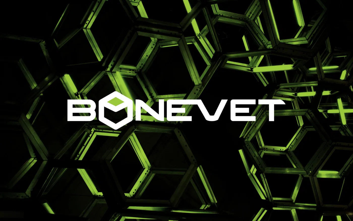Bonevet project presentation