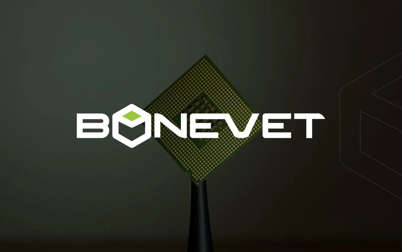 Bonevet project presentation