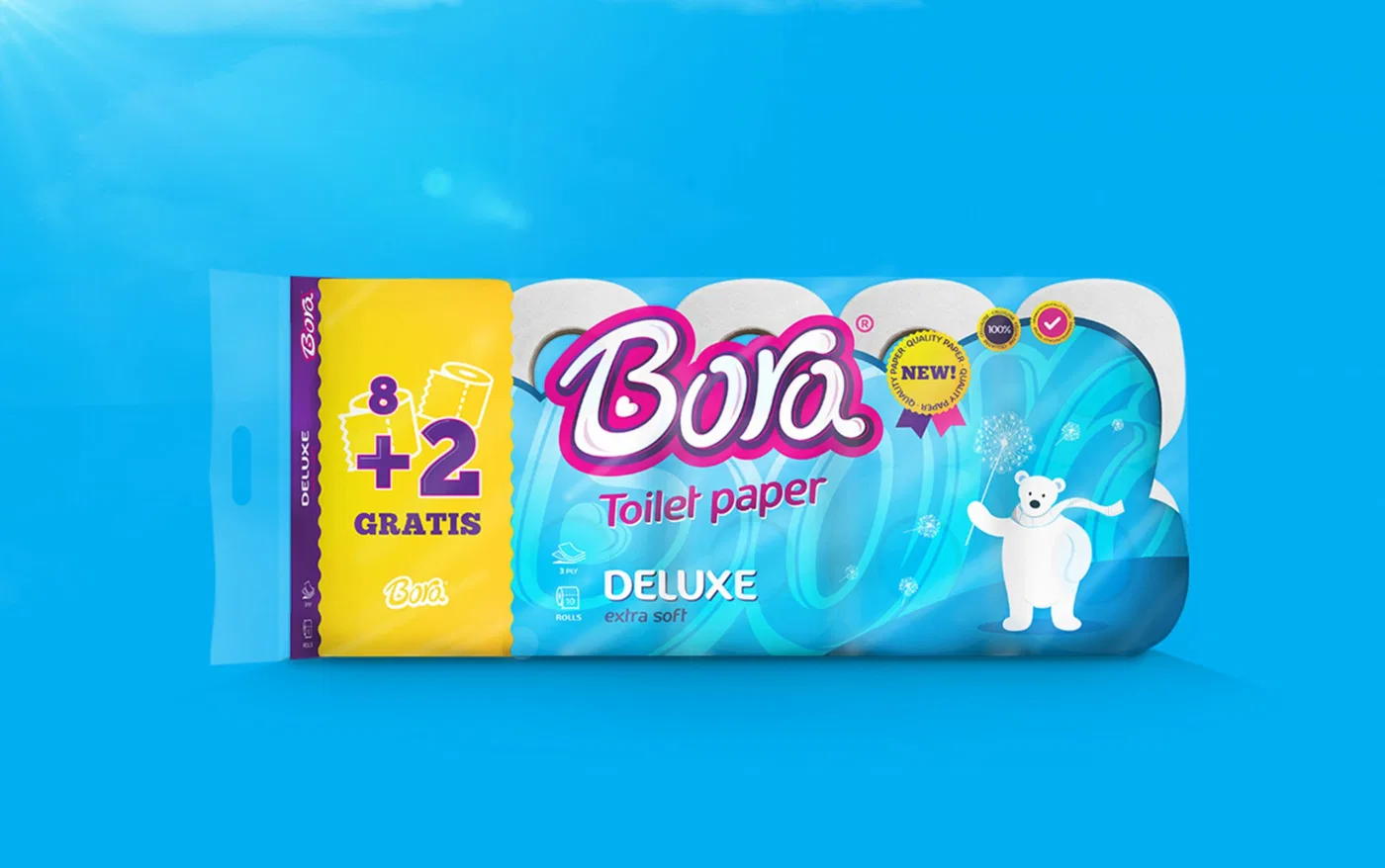 Bora project presentation
