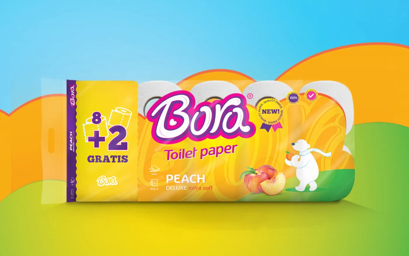 Bora project presentation