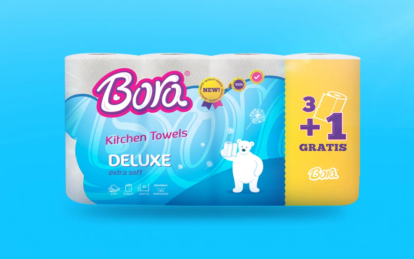 Bora project presentation