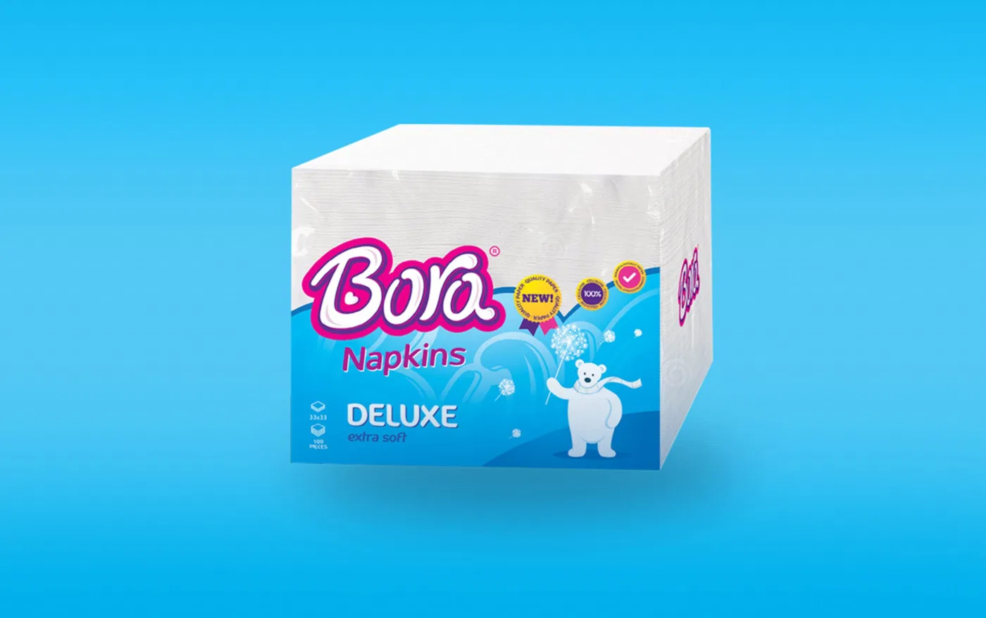 Bora project presentation