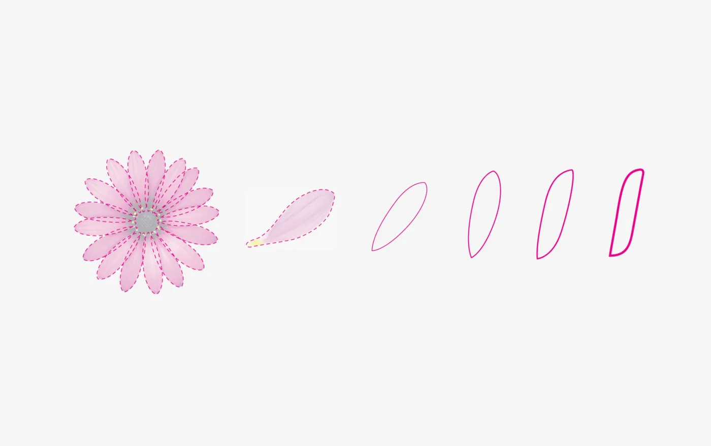 Petal project presentation