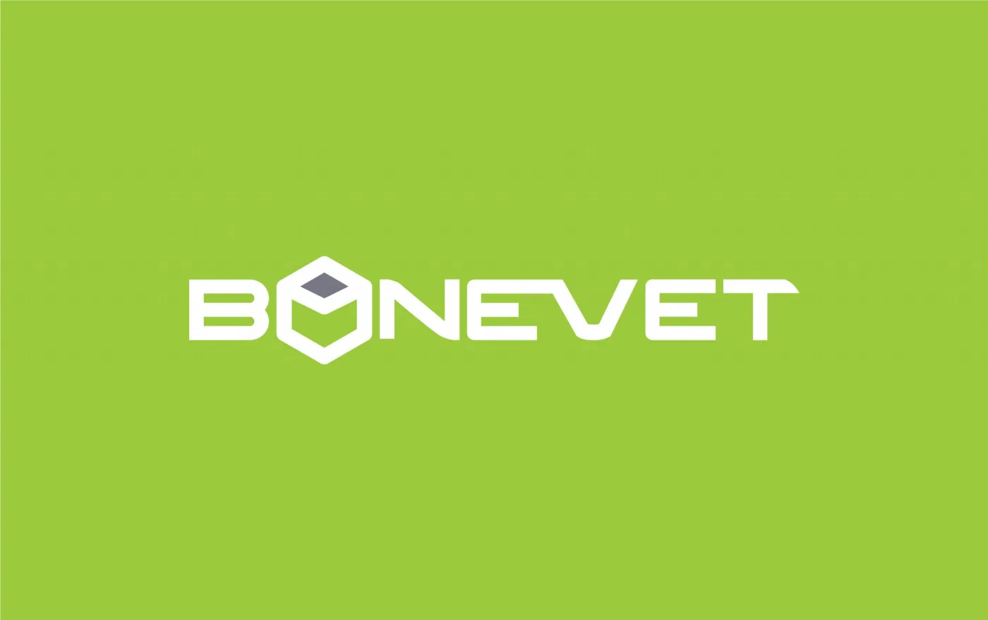 Bonevet project presentation