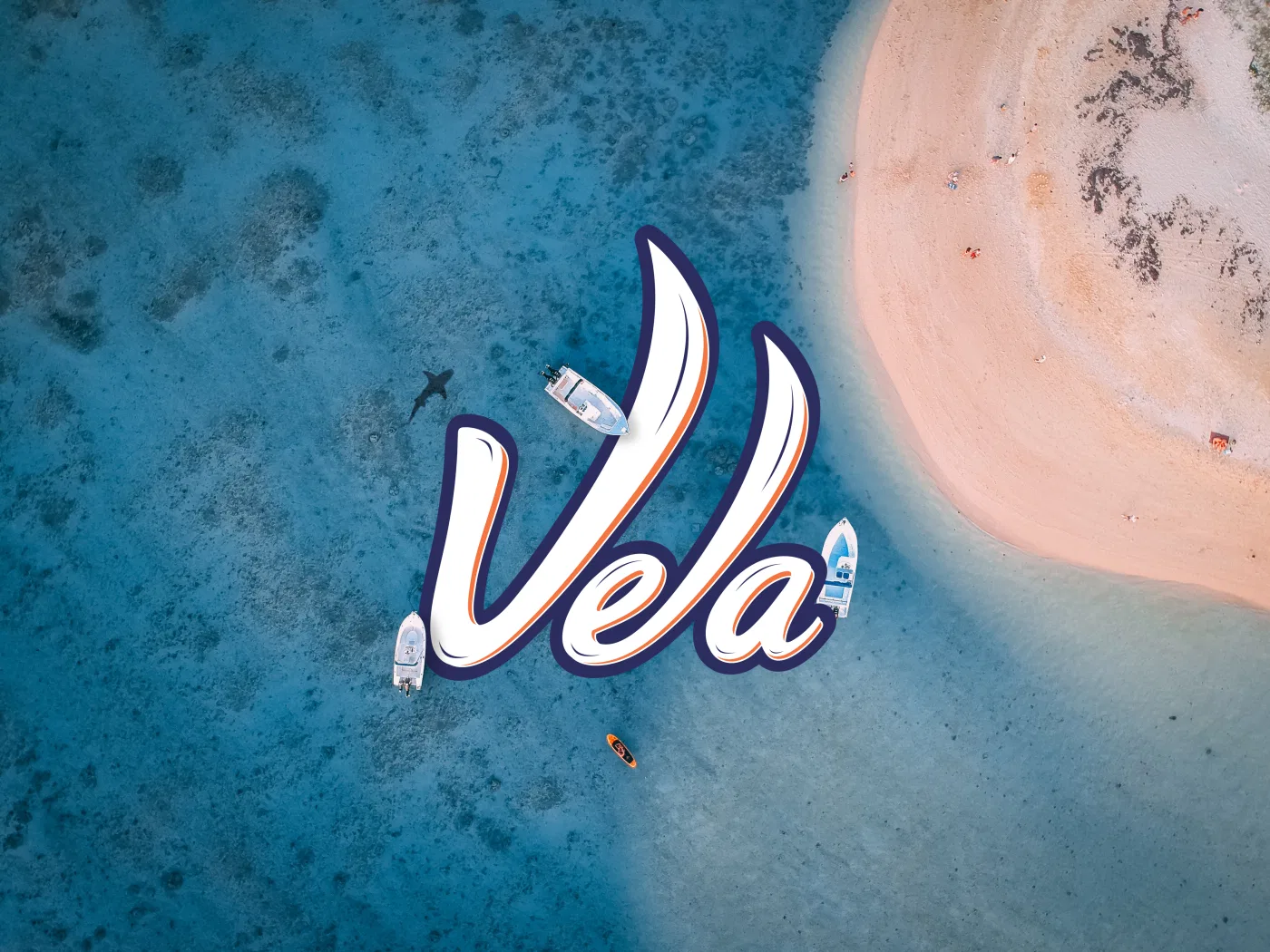 Vela project presentation