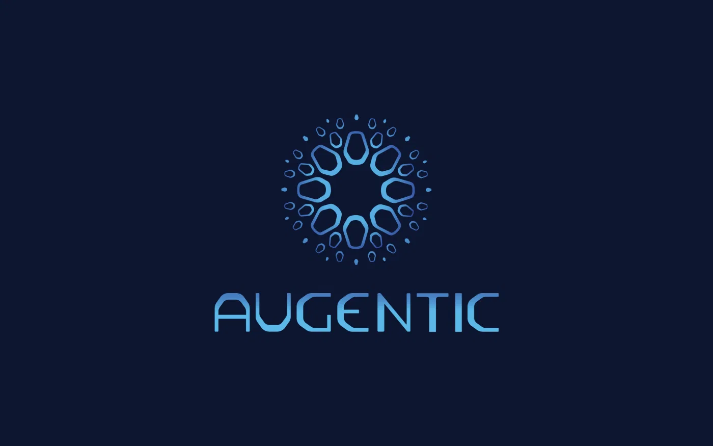 Augentic project presentation
