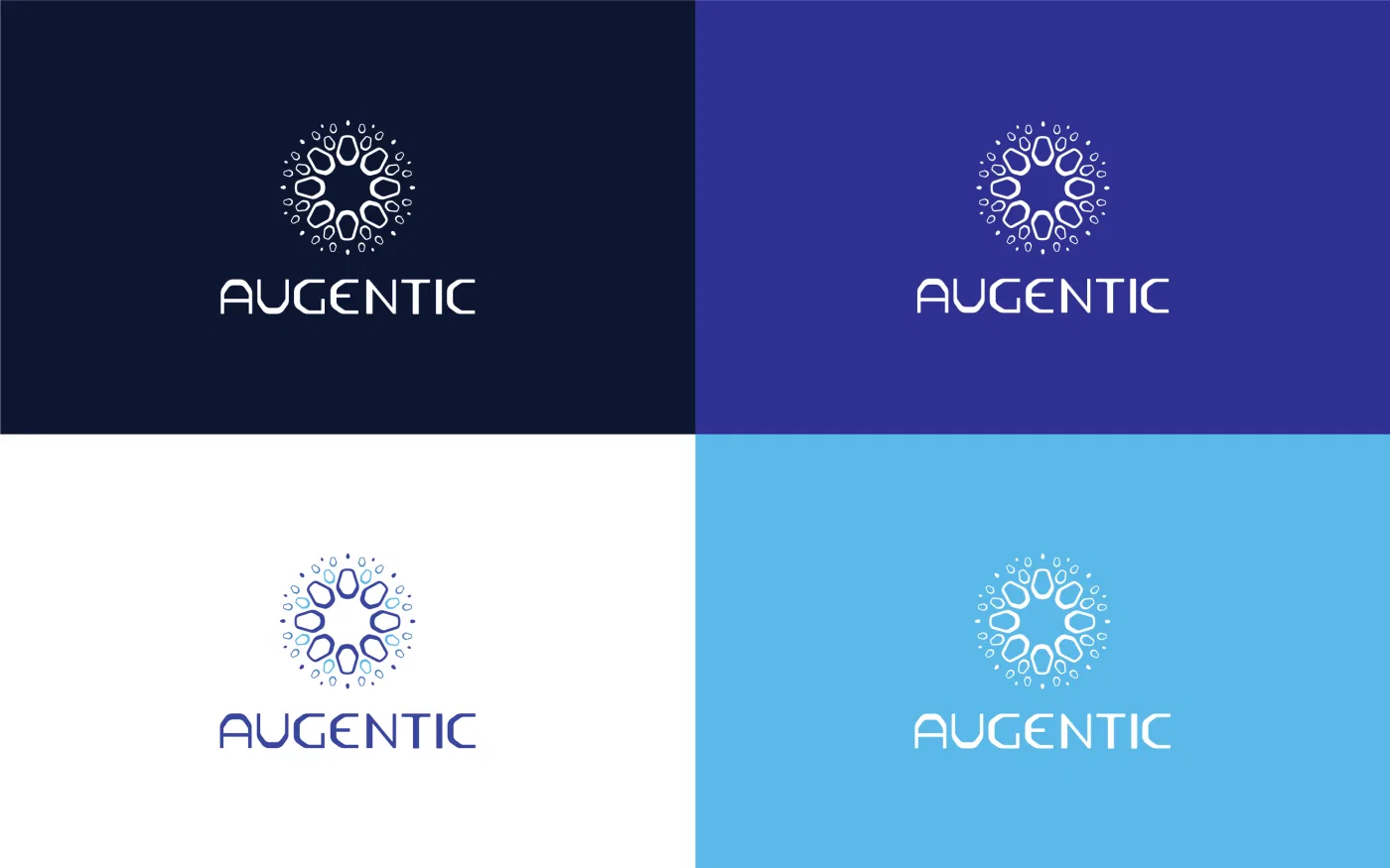 Augentic project presentation