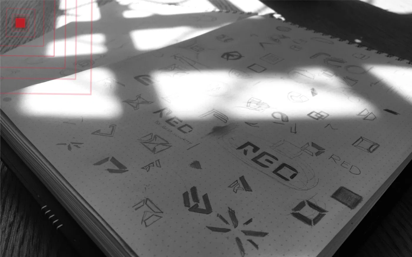 Red project presentation