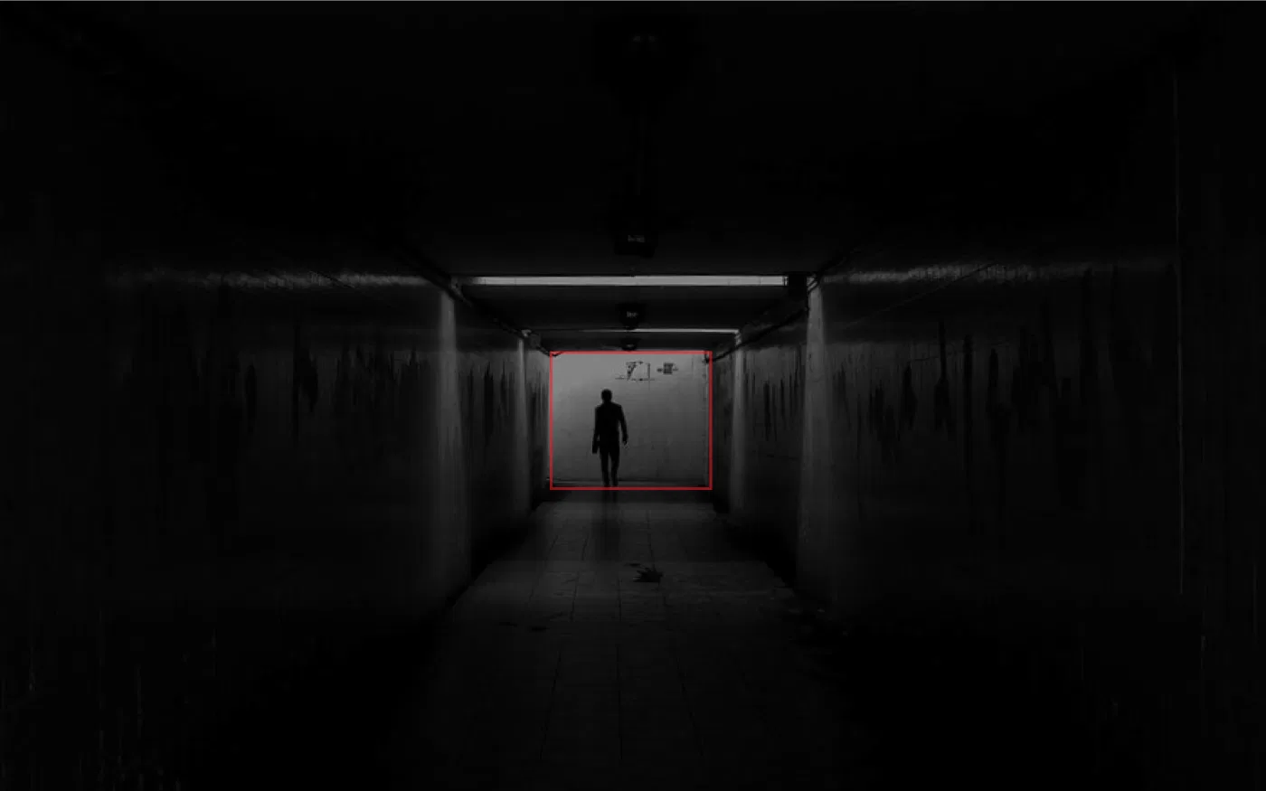 Red project presentation