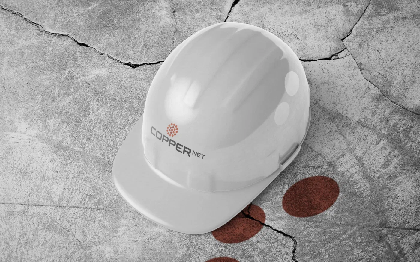 Coppernet project presentation