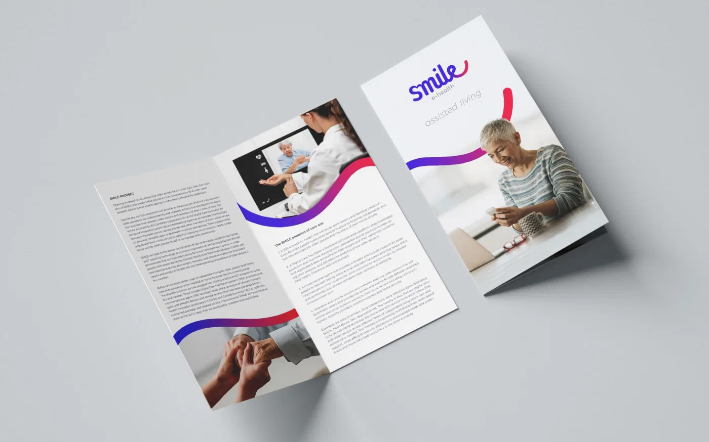 Smile project presentation