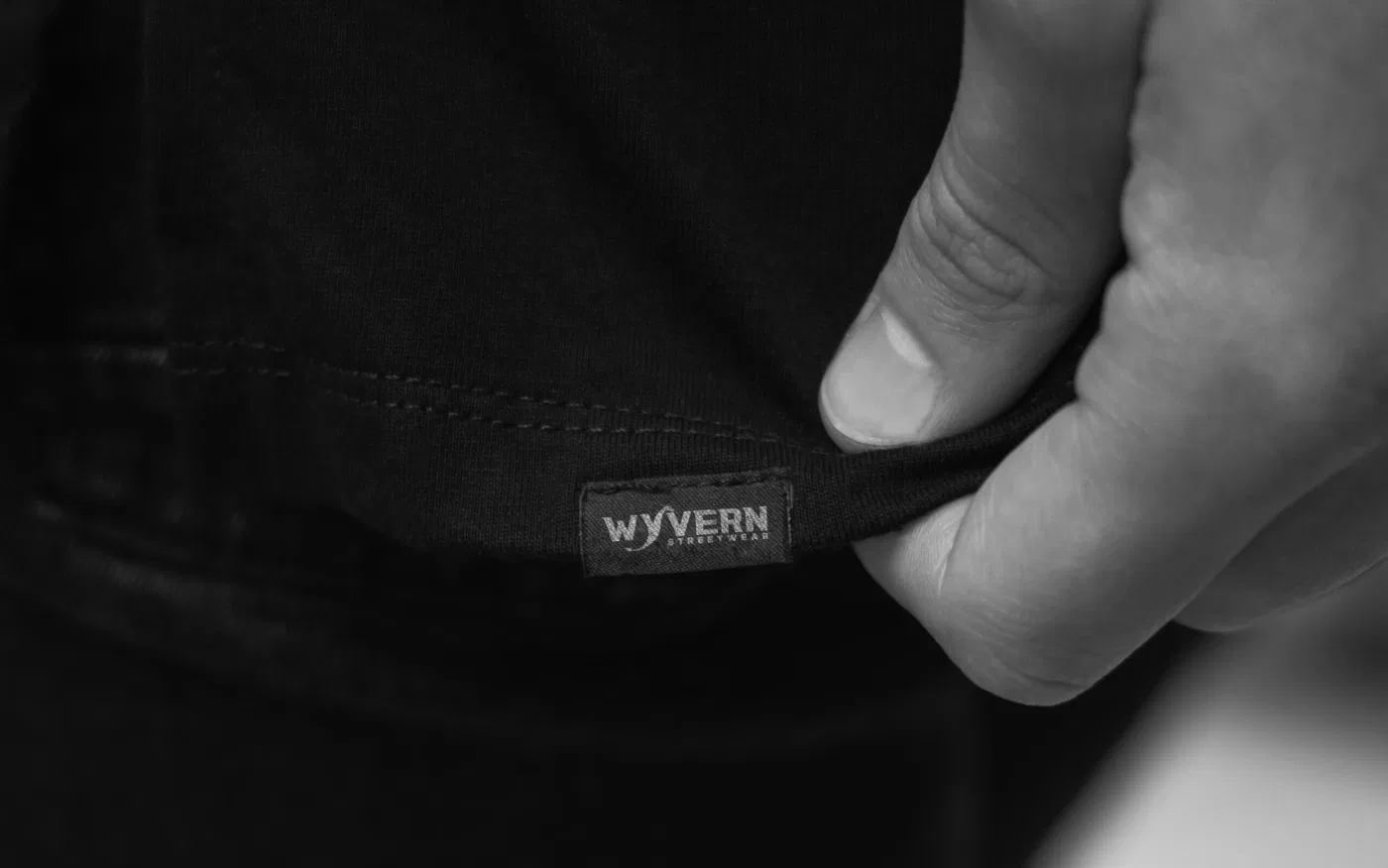 Wyvern project presentation
