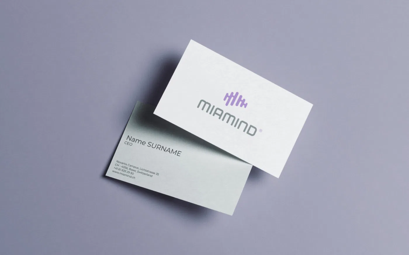 Miamind – Bottneuro project presentation