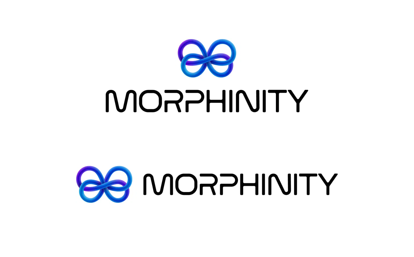 Morphinity project presentation
