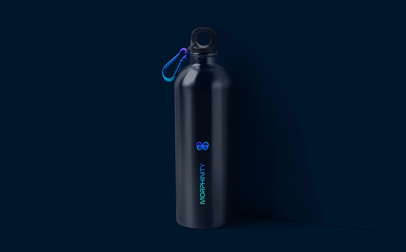 Morphinity project presentation