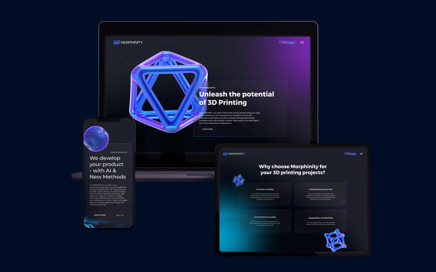 Morphinity project presentation