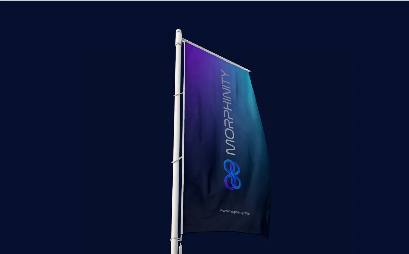 Morphinity project presentation