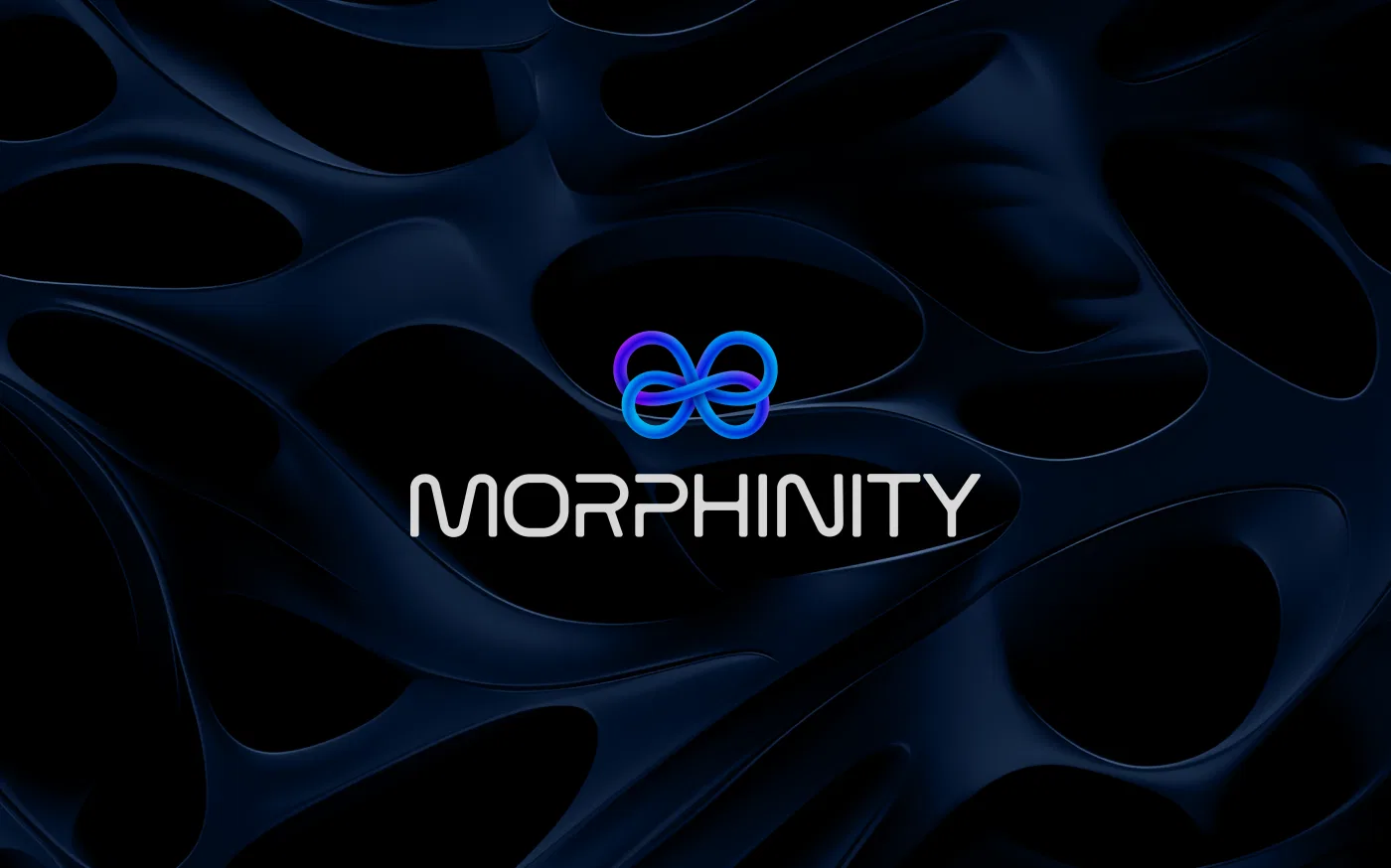 Morphinity project presentation