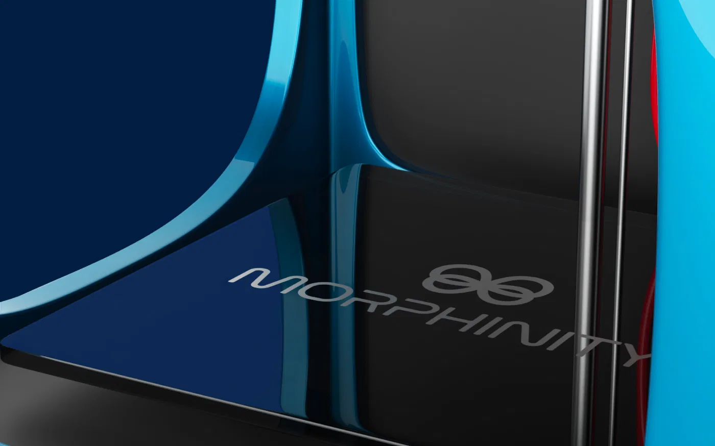 Morphinity project presentation
