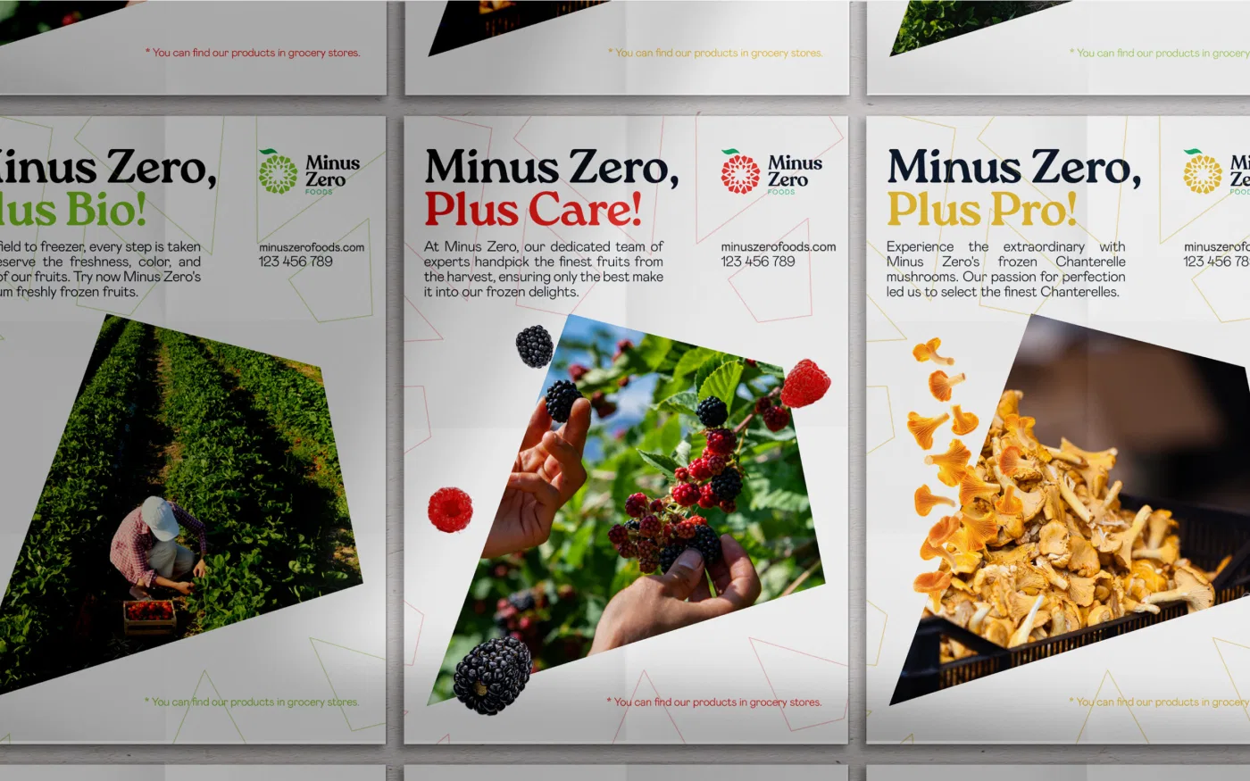 Minus Zero Foods project presentation