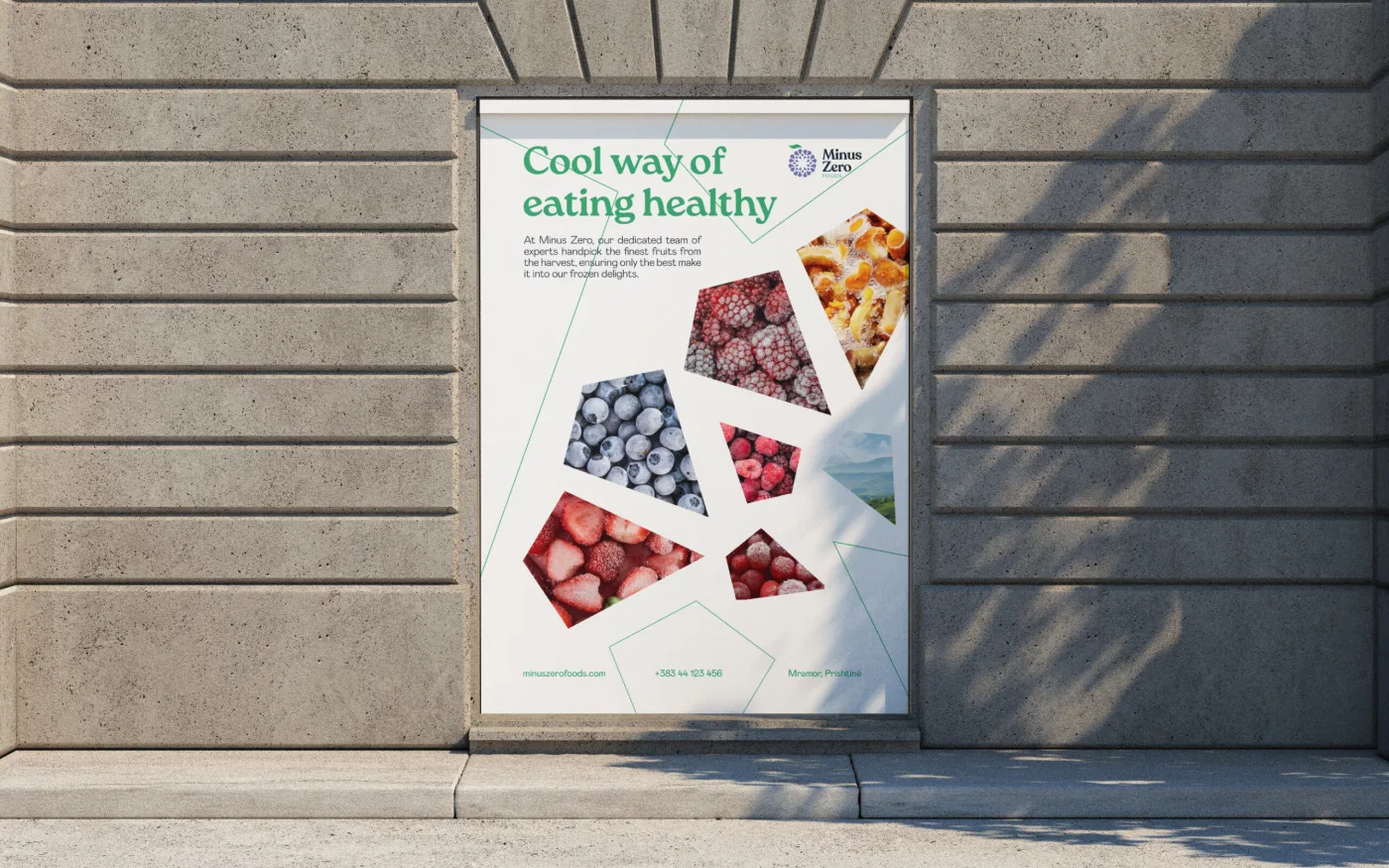 Minus Zero Foods project presentation