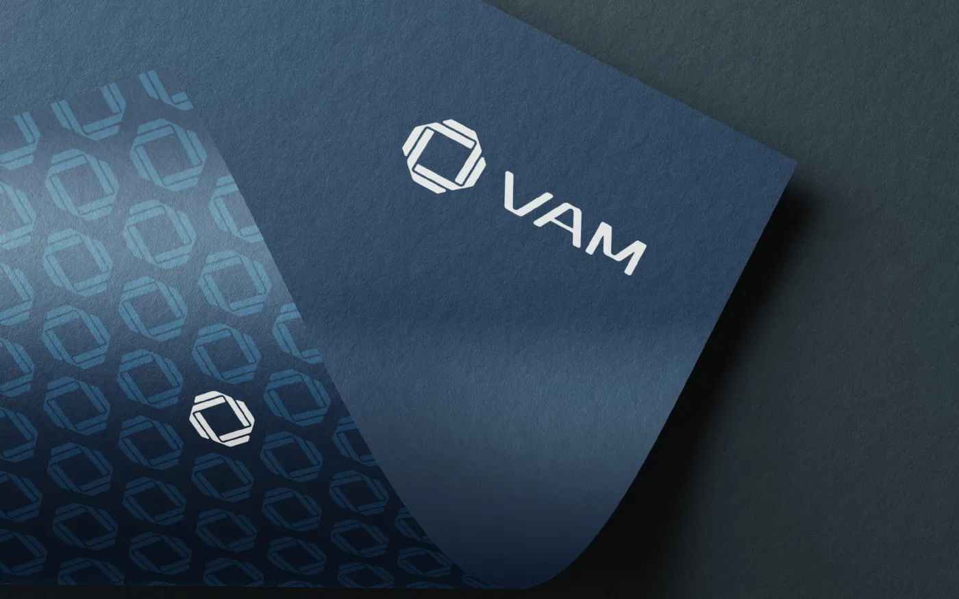 VAM project presentation